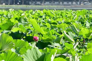 浓眉：我们在第三节的防守太糟 让对手打得太轻松